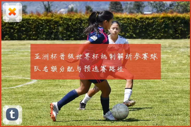 亚洲杯晋级世界杯机制解析参赛球队名额分配与预选赛路径