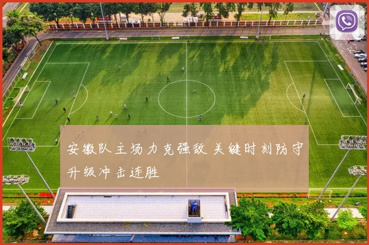 安徽队主场力克强敌 关键时刻防守升级冲击连胜