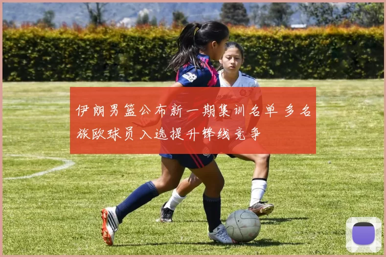 伊朗男篮公布新一期集训名单 多名旅欧球员入选提升锋线竞争