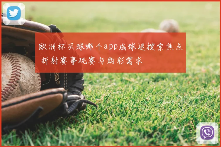 欧洲杯买球哪个app成球迷搜索焦点 折射赛事观赛与购彩需求