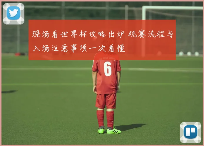 现场看世界杯攻略出炉 观赛流程与入场注意事项一次看懂